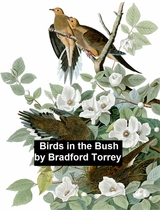 Birds in the Bush - Bradford Torrey