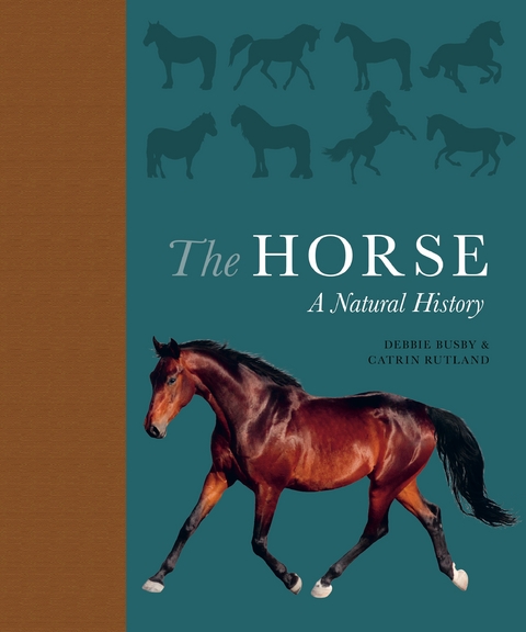 The Horse - Debbie Busby, Catrin Rutland