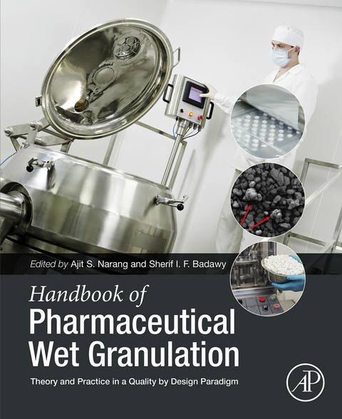 Handbook of Pharmaceutical Wet Granulation - 