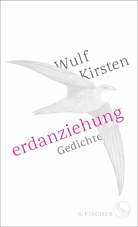 Erdanziehung -  Wulf Kirsten