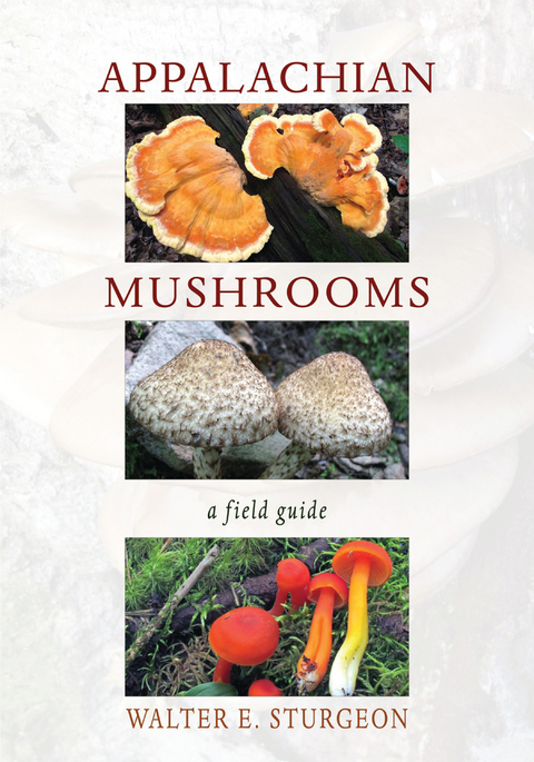 Appalachian Mushrooms - Walter E. Sturgeon