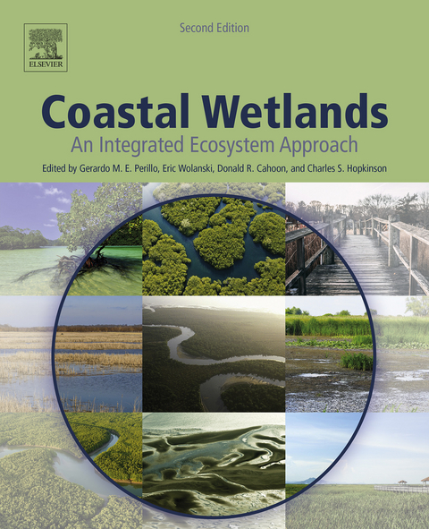 Coastal Wetlands - 