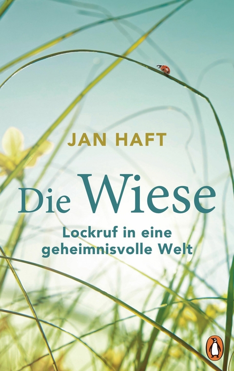 Die Wiese -  Jan Haft