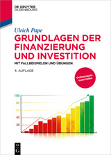 Grundlagen der Finanzierung und Investition - Ulrich Pape