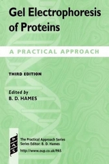 Gel Electrophoresis of Proteins - Hames, B. D.