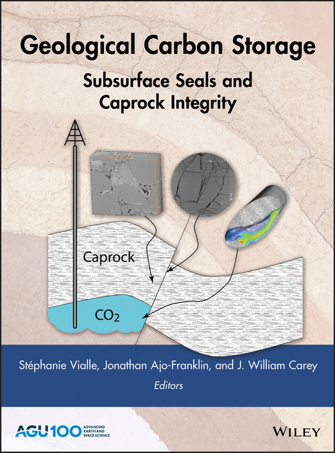 Geological Carbon Storage - 