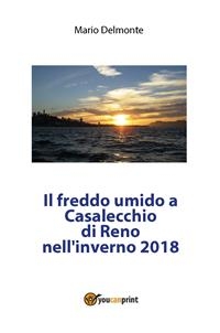 Il freddo umido a Casalecchio di Reno nell'inverno 2018 - Mario Delmonte