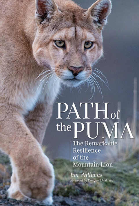 Path of the Puma - Jim Williams