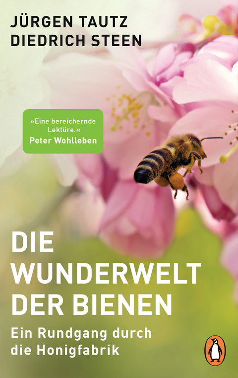 Die Wunderwelt der Bienen -  Jürgen Tautz,  Diedrich Steen