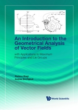 Introduction To The Geometrical Analysis Of Vector Fields, An: With Applications To Maximum Principles And Lie Groups -  Bonfiglioli Andrea Bonfiglioli,  Biagi Stefano Biagi