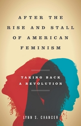 After the Rise and Stall of American Feminism -  Lynn S. Chancer