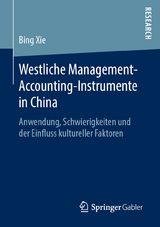 Westliche Management-Accounting-Instrumente in China - Bing Xie