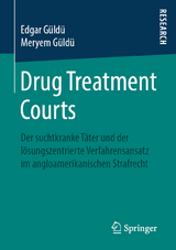 Drug Treatment Courts - Edgar Güldü, Meryem Güldü