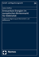 Erneuerbare Energien im europäischen Binnenmarkt für Elektrizität - Juliane Steffens