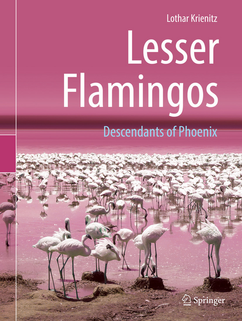 Lesser Flamingos -  Lothar Krienitz