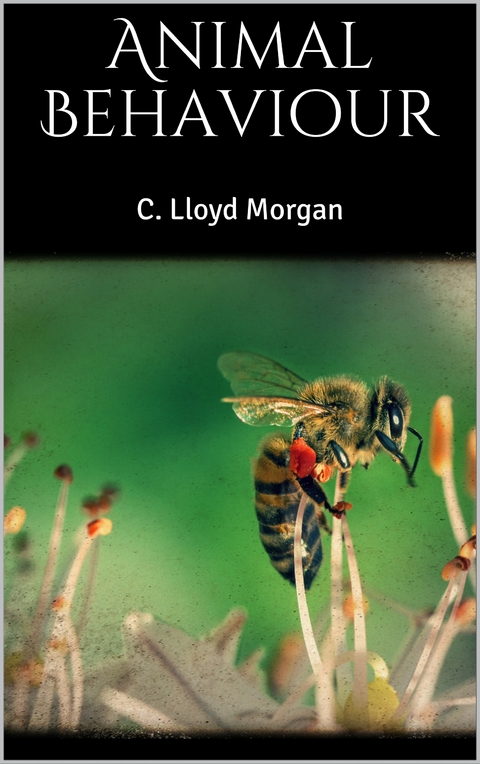 Animal Behaviour - C. Lloyd Morgan