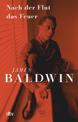 Nach der Flut das Feuer -  James Baldwin