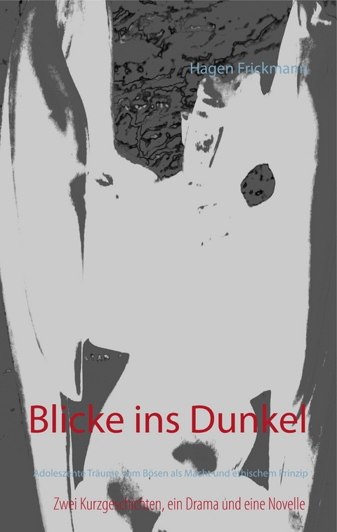 Blicke ins Dunkel - Hagen Frickmann