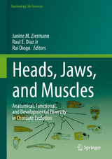 Heads, Jaws, and Muscles - 