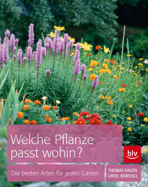 Welche Pflanze passt wohin? - Thomas Hagen, Ursel Borstell