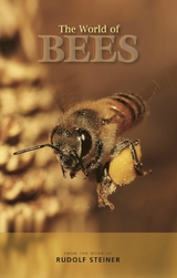 The World of Bees - Rudolf Steiner