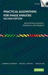 Practical Algorithms for Image Analysis with CD-ROM - O'Gorman, Lawrence; Sammon, Michael J.; Seul, Michael