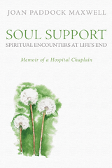 Soul Support: Spiritual Encounters at Life's End -  Joan Paddock Maxwell