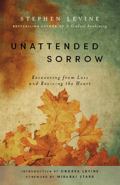 Unattended Sorrow - Stephen Levine