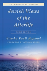 Jewish Views of the Afterlife -  Simcha Paull Raphael