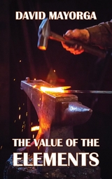 Value of the Elements -  David Mayorga