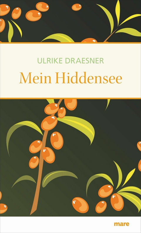 Mein Hiddensee - Ulrike Draesner