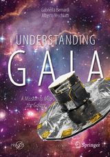 Understanding Gaia - Gabriella Bernardi, Alberto Vecchiato