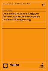 Gesellschaftsrechtliche Maßgaben für eine Gruppenbesteuerung ohne Gewinnabführungsvertrag - Jacob Hörnle