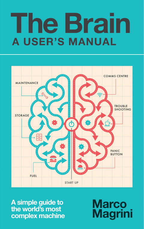 Brain: A User's Manual -  Marco Magrini