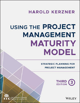 Using the Project Management Maturity Model - Harold Kerzner