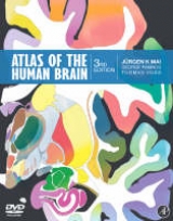 Atlas of the Human Brain - K Mai, Juergen; Paxinos, George; Voss, Thomas