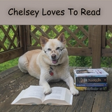 Chelsey Loves To Read - N. K. Hasen