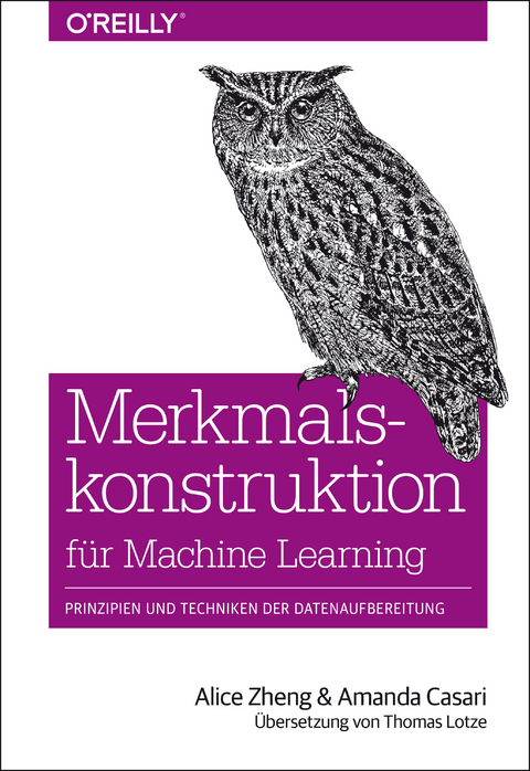 Merkmalskonstruktion für Machine Learning -  Alice Zheng,  Amanda Casari