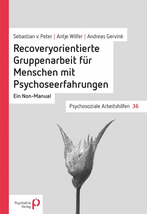 Recoveryorientierte Gruppenarbeit für Menschen mit Psychoseerfahrungen - Antje Wilfer, Andreas Gervink, Sebastian von Peter