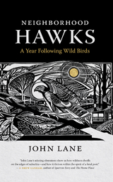 Neighborhood Hawks - John Lane