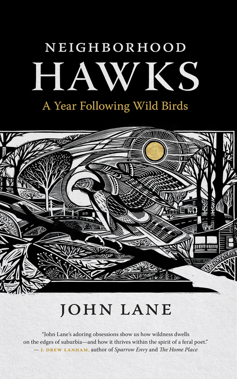 Neighborhood Hawks - John Lane