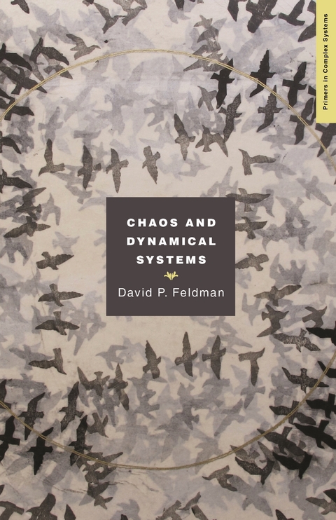 Chaos and Dynamical Systems -  David P. Feldman