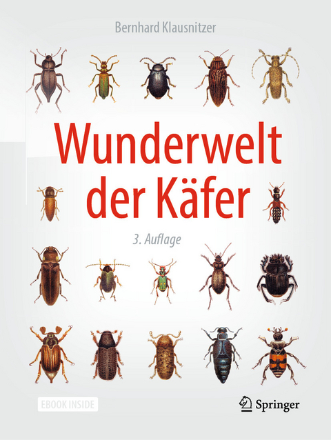 Wunderwelt der Käfer - Bernhard Klausnitzer