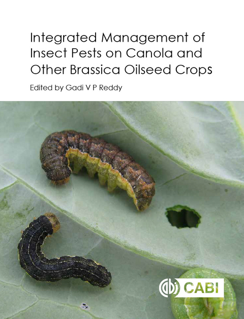 Integrated management of Insect Pests on Canola and other Brassica Oilseed Crops - 