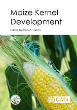 Maize Kernel Development - 