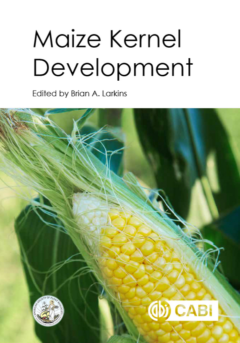 Maize Kernel Development - 