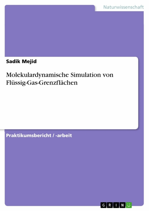 Molekulardynamische Simulation von Flüssig-Gas-Grenzflächen - Sadik Mejid