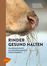 Rinder gesund halten - Barbara Benz, Agnes Richter, Thomas Richter