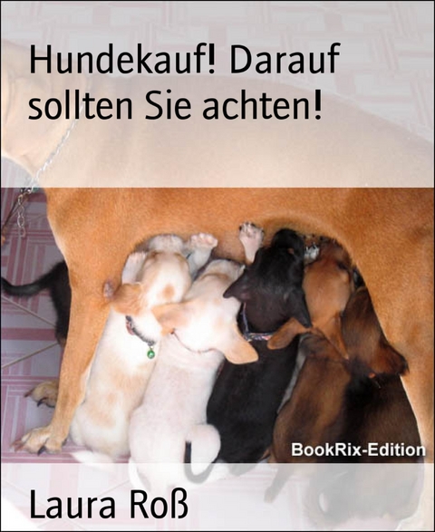 Hundekauf! Darauf sollten Sie achten! - Laura Roß