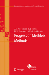 Progress on Meshless Methods - 